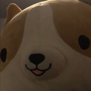 Meet your Posher, Evelyn